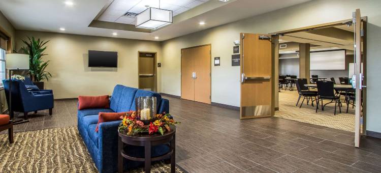 会议中心及舒适套房酒店(Comfort Suites Hotel and Conference Center)图片