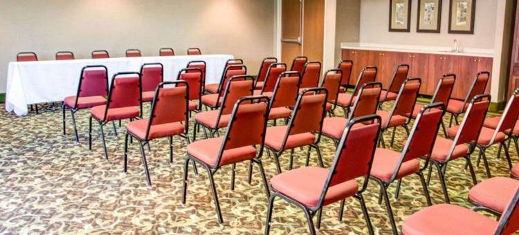 阿塔拉加兹登舒适套房酒店(Comfort Suites Gadsden Attalla)图片