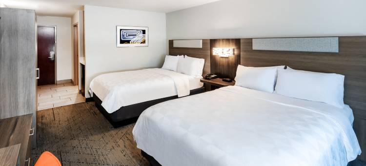 哈维 - 马雷罗智选假日酒店(Holiday Inn Express Harvey-Marrero)图片