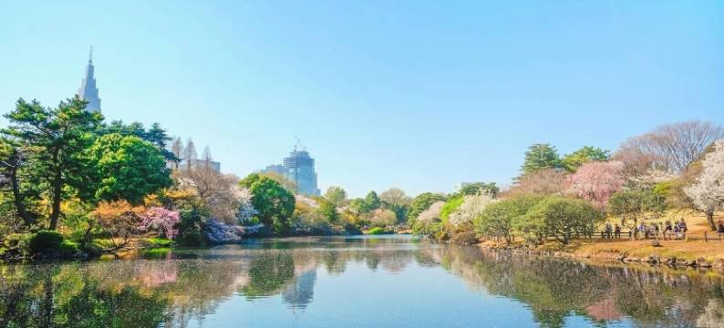 ELM高田马场(Elm Takadanobaba)图片