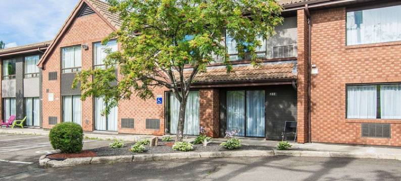 舒适酒店(Comfort Inn)图片