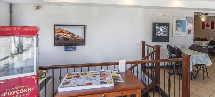 德拉姆赫勒套房伊克诺旅馆(Econo Lodge Inn & Suites Drumheller)图片