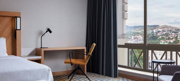 第比利斯万怡酒店(Courtyard Tbilisi)图片