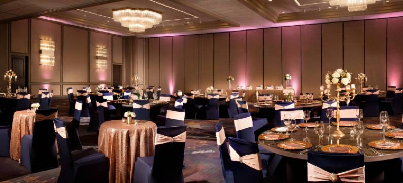 达拉斯/沃斯堡机场万豪酒店(Dallas/Fort Worth Airport Marriott)图片