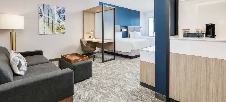 达拉斯曼斯费尔德万豪SpringHill Suites酒店(SpringHill Suites Dallas Mansfield)图片