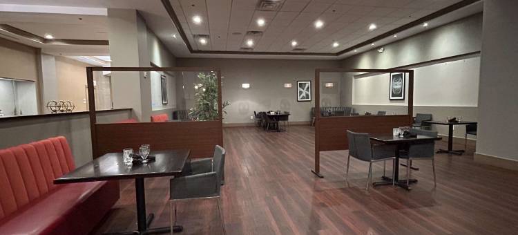 底特律机场天际线酒店 - 贝斯特韦斯特 SureStay 精选酒店(Skyline Hotel Detroit Airport, SureStay Collection by BW)图片