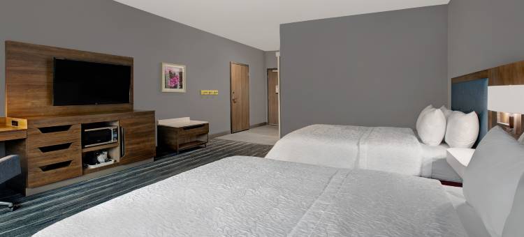 韦斯拉科欢朋酒店(Hampton Inn Weslaco)图片