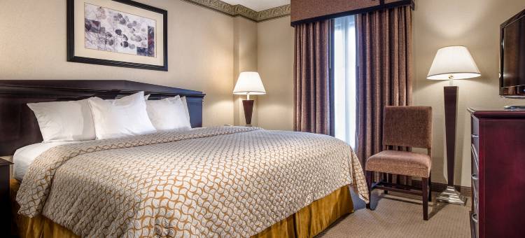 希尔顿亚特兰大阿尔普哈雷塔使馆套房酒店(Embassy Suites by Hilton Atlanta Alpharetta)图片