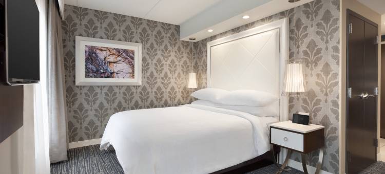 希尔顿亚特兰大东北-格温内特糖山大使套房酒店(Embassy Suites by Hilton Atlanta NE - Gwinnett Sugarloaf)图片