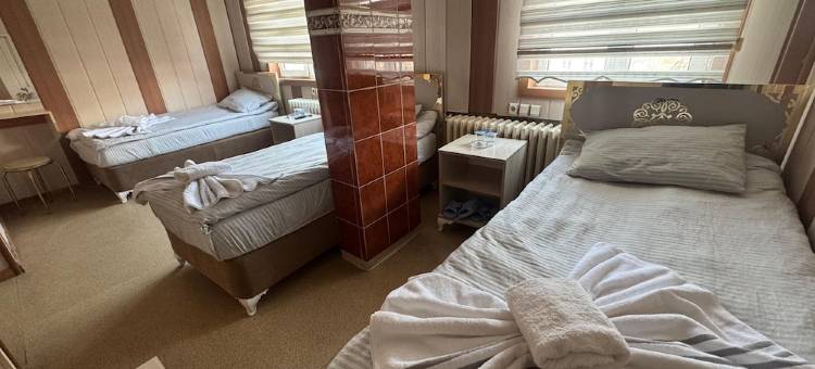 奥特尔布尤克多乌(Hotel Buyuk Dogu)图片