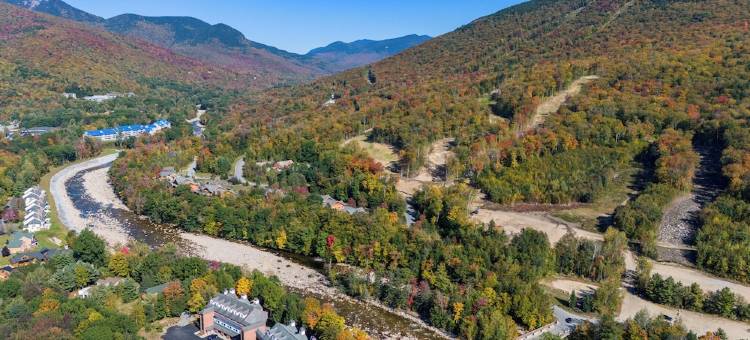 White Mountains-10 Min to Loon-Hottub-Dog Friendly图片