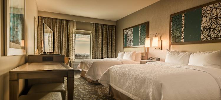 达拉斯-科洛尼希尔顿欢朋酒店及套房-TX(Hampton Inn & Suites Dallas-The Colony)图片