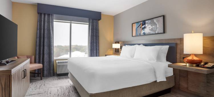 夏洛特康科德希尔顿花园酒店(Hilton Garden Inn Charlotte/Concord)图片