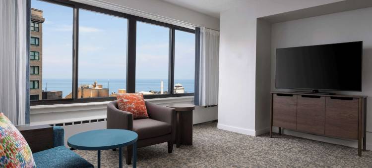 索内斯塔ES套房芝加哥市中心壮丽大道-医疗(Sonesta ES Suites Chicago Downtown Magnificent Mile - Medical)图片