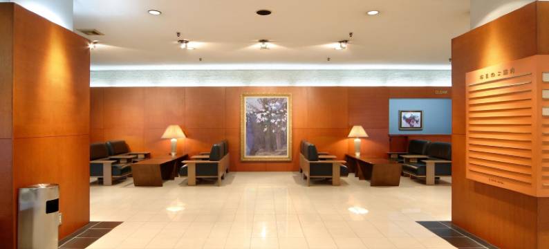 旭川东洋酒店(Asahikawa Toyo Hotel)图片