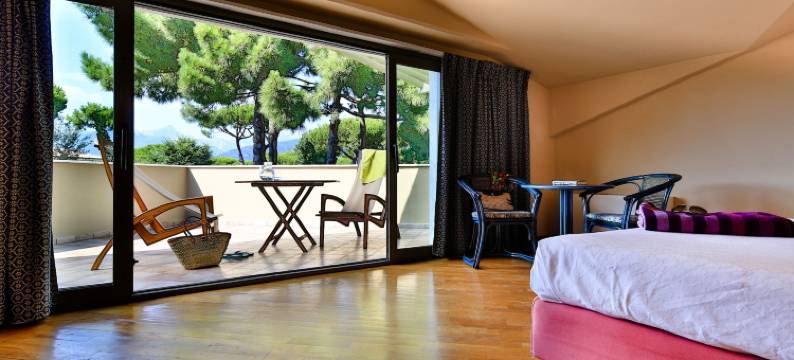 泰尔梅德拉维西利亚昂都纳别墅酒店(Hotel Villa Undulna - Terme della Versilia)图片