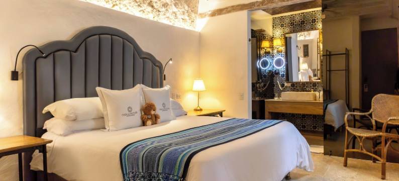 法兰达精品工厂之家酒店 - Radisson Individuals 旗下成员(Hotel Casa la Factoria by Faranda Boutique, a Member of Radisson Individuals)图片