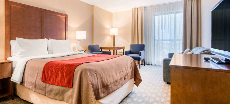 尼亚加拉瀑布舒适酒店(Comfort Inn Fallsview)图片