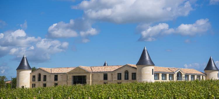 圣弗特古堡(Château Tour Saint-Fort Chambre d'hôtes)图片