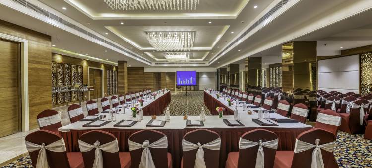 齐普尔领主旅馆(Lords Inn Jaipur)图片