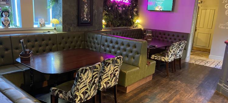 常春藤树(The Ivy Tree)图片