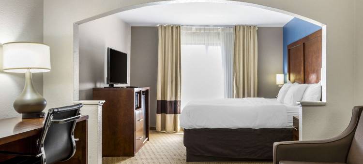 加纳克莱顿I-40舒适酒店(Comfort Inn Garner Clayton I-40)图片