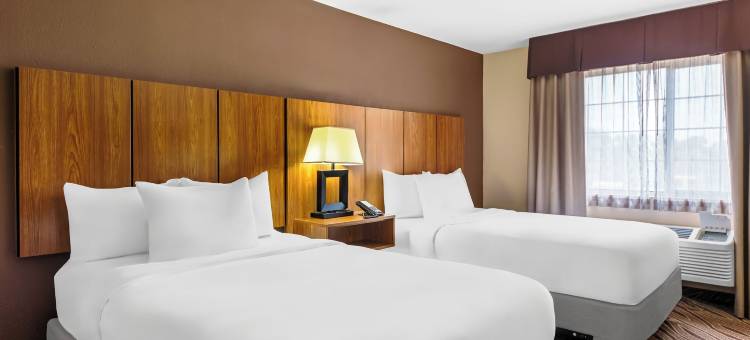 品质酒店及套房机场北 - 石橡树(Quality Inn & Suites Airport North - Stone Oak)图片