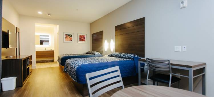 蓝城中心宫殿旅馆(Palace Inn Blue City Centre)图片