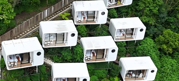 金塔马尼森林小屋(The Forest Cabin Kintamani)图片