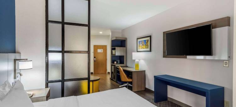 舒适套房酒店(Comfort Suites)图片