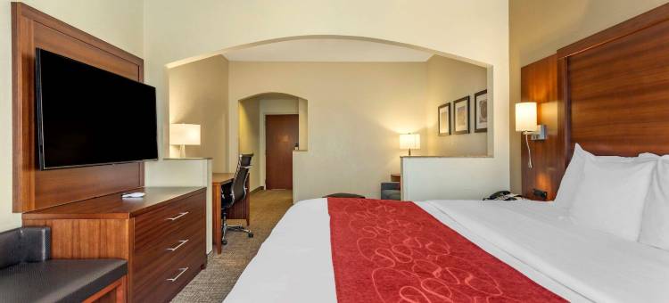 南海文I-55舒适套房酒店(Comfort Suites Southaven I-55)图片