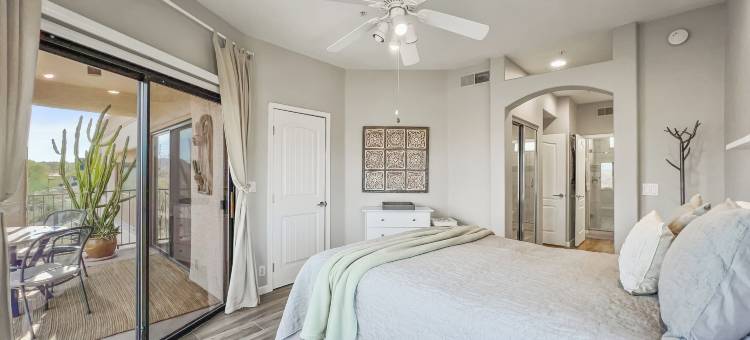 仙人掌 #202 喷泉山(Saguaro #202 Fountain Hills)图片