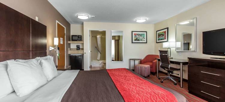 洛杉矶近好莱坞舒适酒店(Comfort Inn Los Angeles near Hollywood)图片