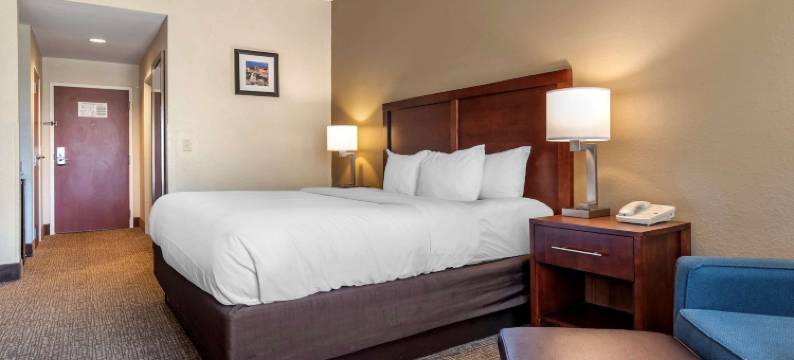 舒适酒店及套房(Comfort Inn & Suites)图片