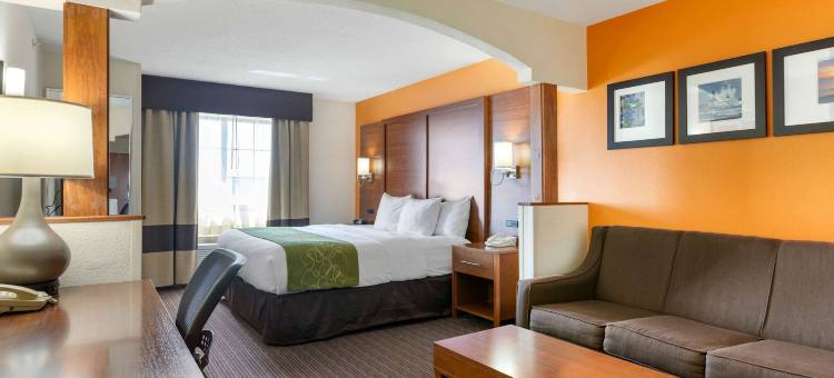 舒适套房酒店-史蒂文斯维尔圣约瑟夫(Comfort Suites Stevensville - St Joseph)图片