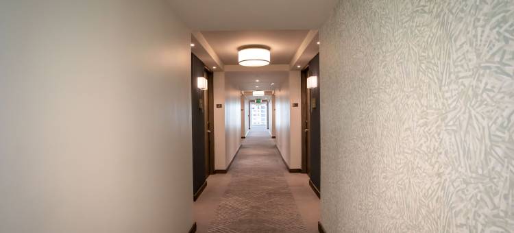 Courtyard Santo Domingo Piantini图片