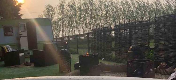 骆驼华丽露营酒店(Glamping with Llamas)图片