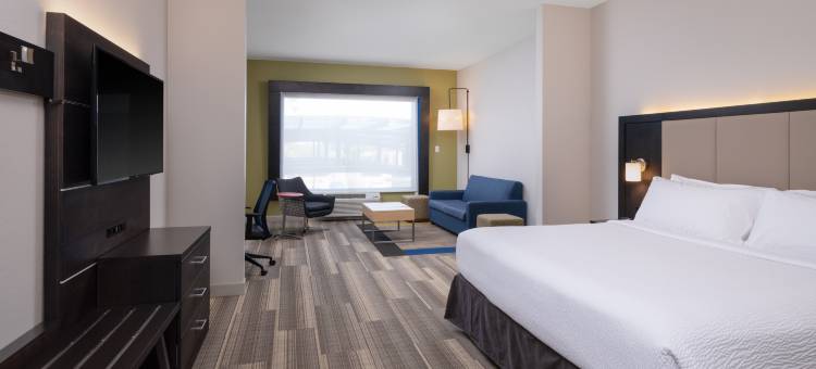 南莱克兰智选假日套房酒店(Holiday Inn Express & Suites LAKELAND SOUTH by IHG)图片