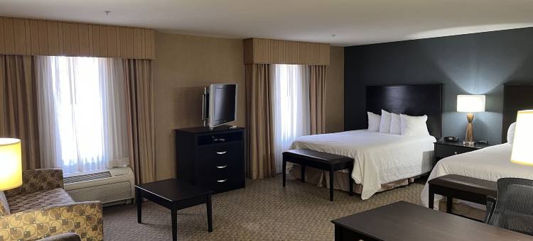 巴斯托欢朋套房酒店(Hampton Inn & Suites Barstow)图片