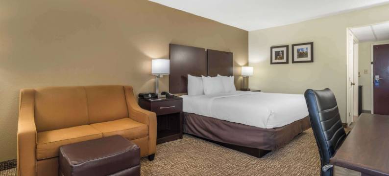 诺曼湖舒适套房酒店(Comfort Inn & Suites Lake Norman)图片