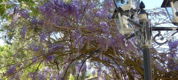 克尔威戈尼斯旅馆(Le Coeur des Vignes)图片