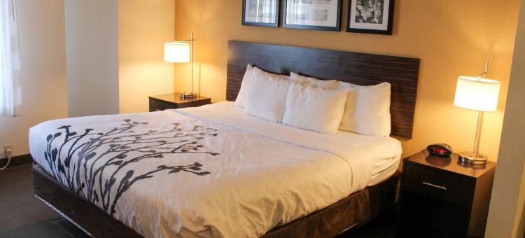 安眠酒店(Sleep Inn)图片