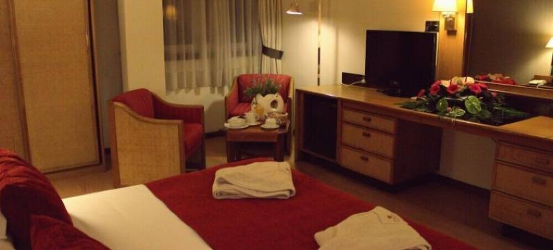 皇宫spa酒店 - 塔梅拉圣维森特(Palace Hotel & Spa - Termas de Sao Vicente)图片