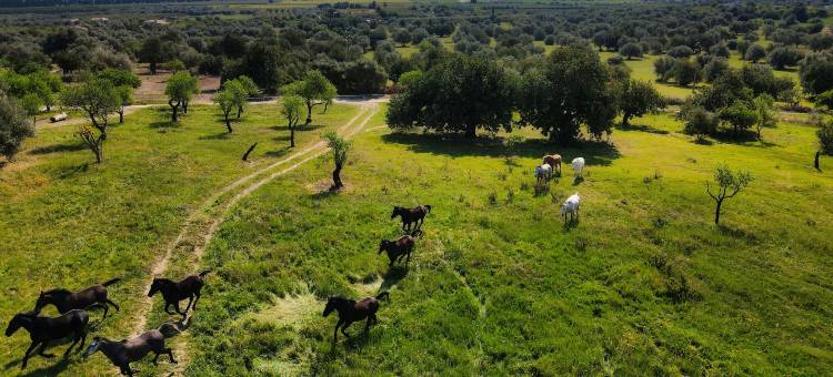 特瑞迪梵蒂卡里乡村民宿(Terre di Vendicari)图片
