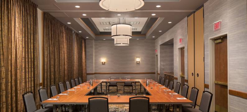 达拉斯弗赖拉辛希尔顿安泊水疗酒店&会议中心(Embassy Suites by Hilton Dallas Frisco Hotel & Convention Center)图片