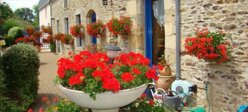 达欧格伦恩 - 家庭旅馆(Daol Grenn - Chambres d'Hôtes)图片