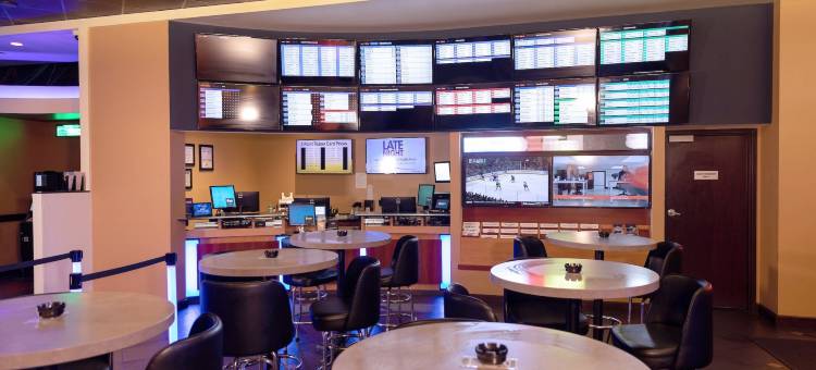 宝藏湾娱乐场酒店 - 限成人(Treasure Bay Casino & Hotel-Adults Age 21 and above)图片