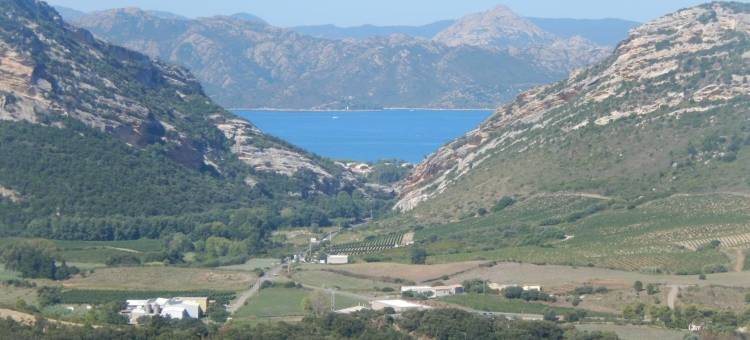 拉帕尔马酒店(Hôtel la Palma)图片