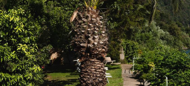 库拉湖酒店(Hotel la Culla Del Lago)图片