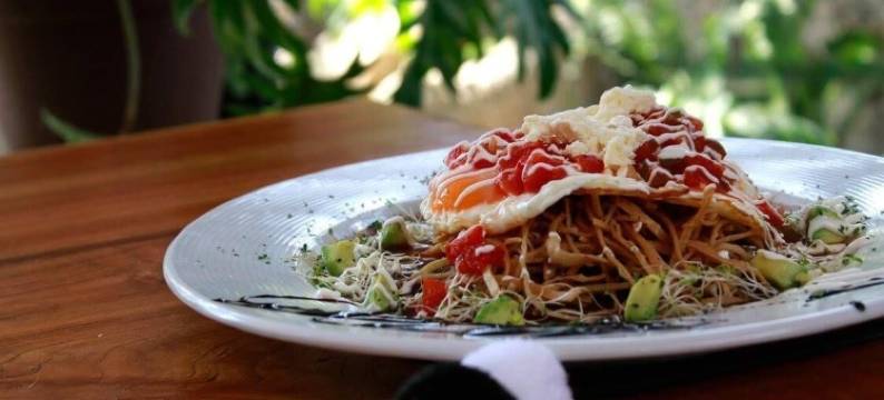 森林太阳套房酒店(Hotel Bosques del Sol Suites)图片